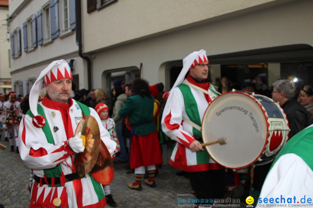 VSAN-Landschaftstreffen: Bad-Waldsee, 28.01.2018