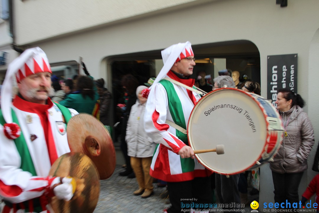 VSAN-Landschaftstreffen: Bad-Waldsee, 28.01.2018