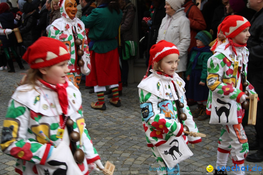 VSAN-Landschaftstreffen: Bad-Waldsee, 28.01.2018