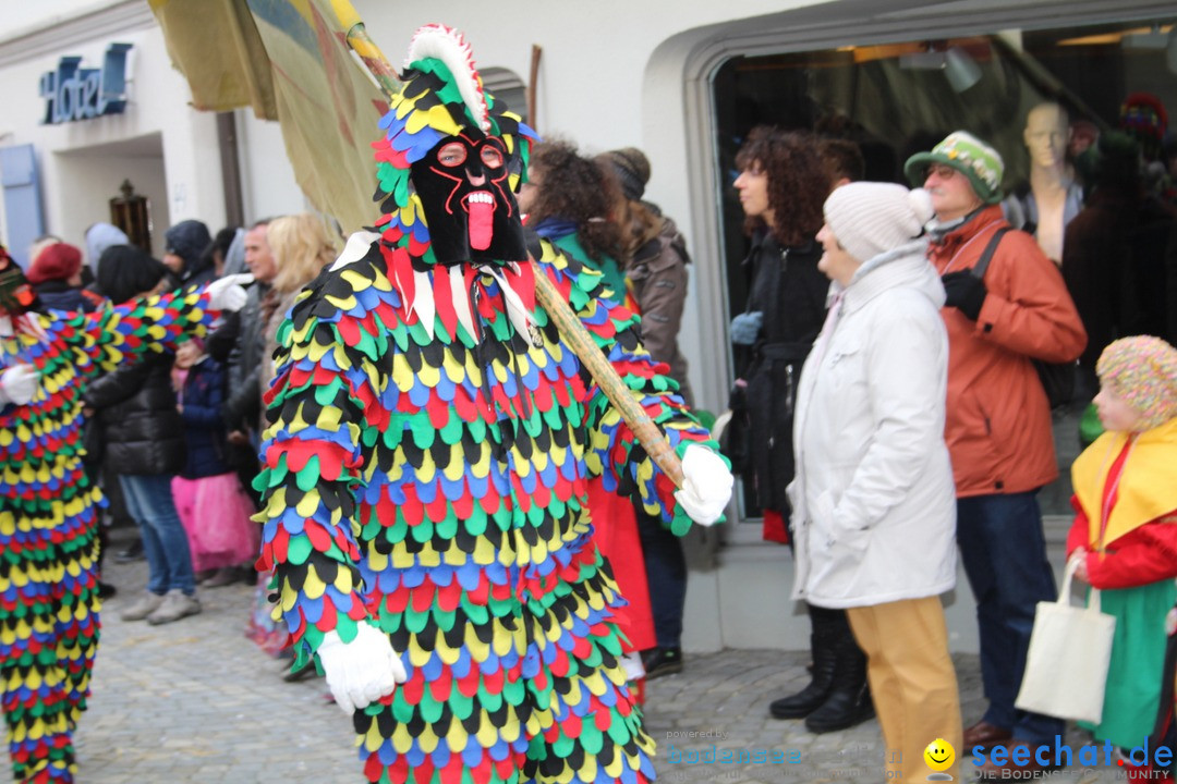 VSAN-Landschaftstreffen: Bad-Waldsee, 28.01.2018