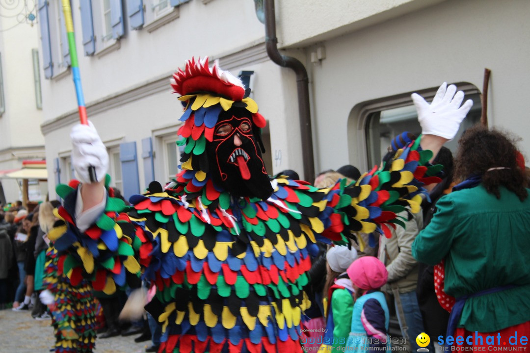 VSAN-Landschaftstreffen: Bad-Waldsee, 28.01.2018