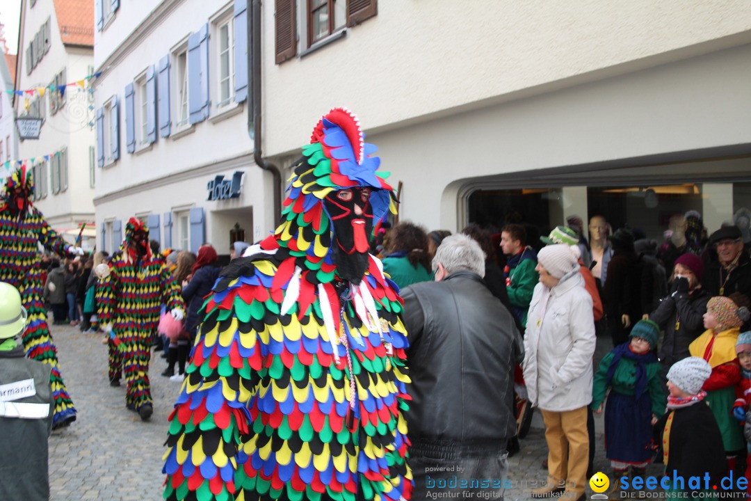 VSAN-Landschaftstreffen: Bad-Waldsee, 28.01.2018