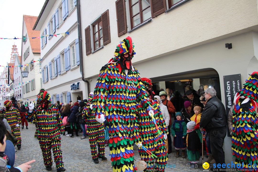 VSAN-Landschaftstreffen: Bad-Waldsee, 28.01.2018