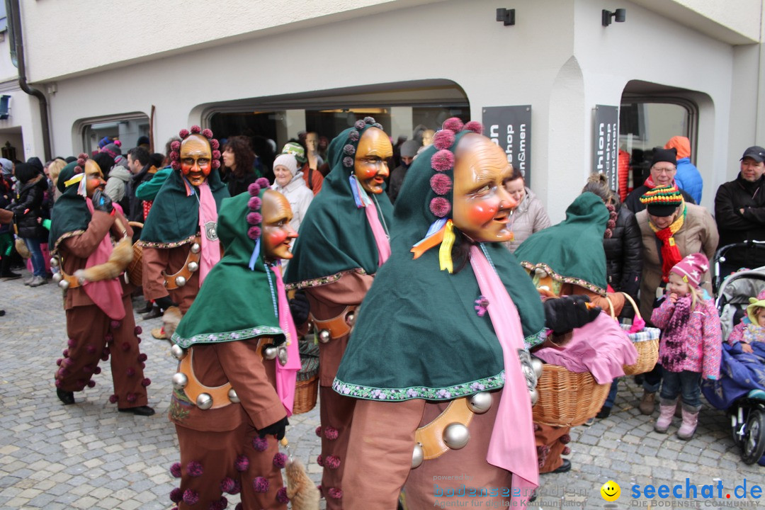 VSAN-Landschaftstreffen: Bad-Waldsee, 28.01.2018