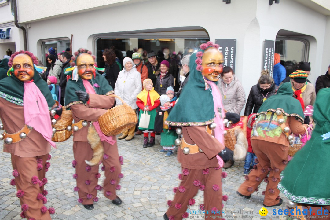 VSAN-Landschaftstreffen: Bad-Waldsee, 28.01.2018