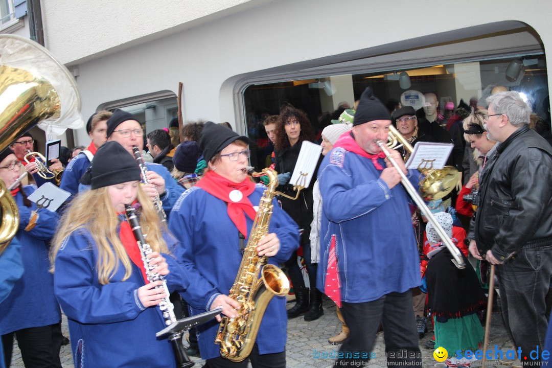 VSAN-Landschaftstreffen: Bad-Waldsee, 28.01.2018