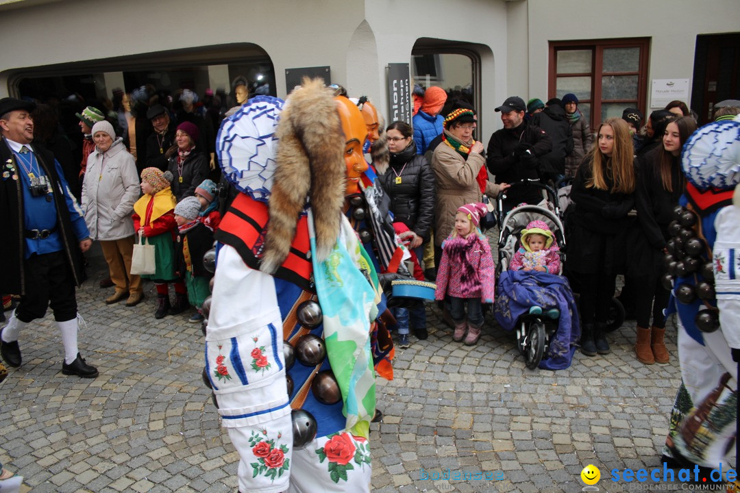 VSAN-Landschaftstreffen: Bad-Waldsee, 28.01.2018