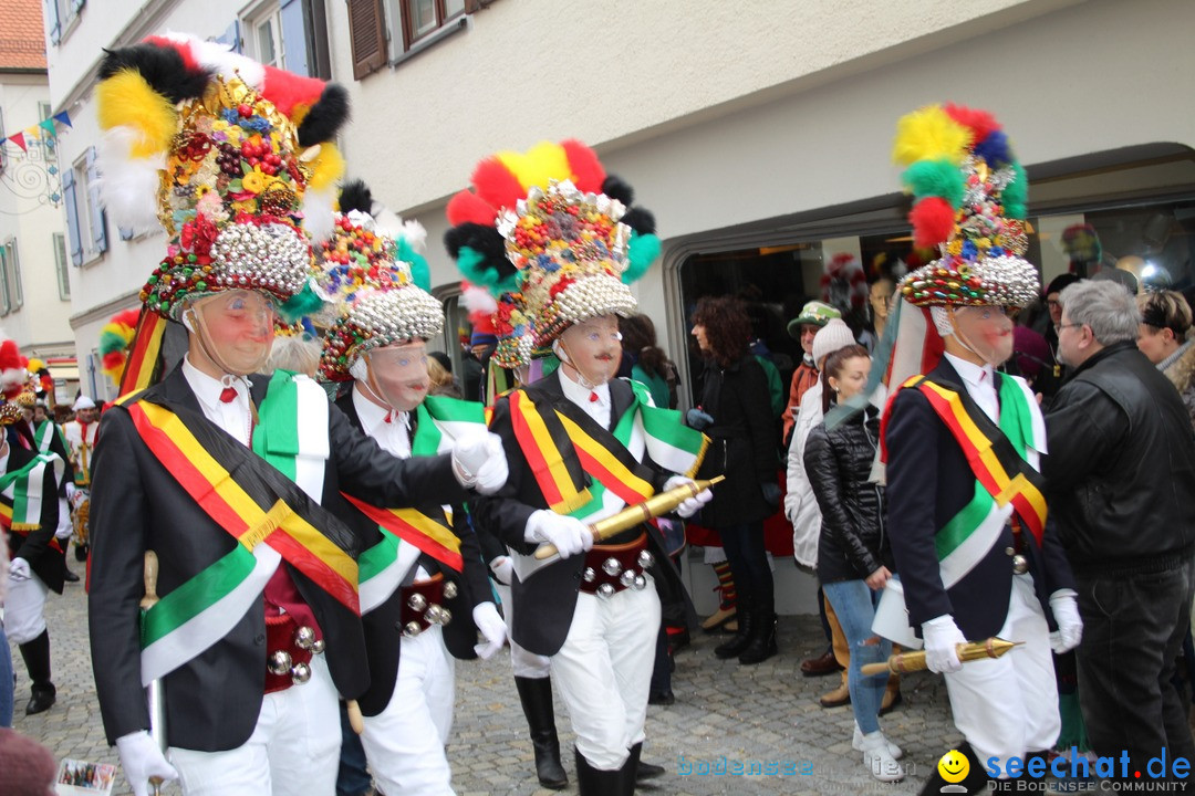 VSAN-Landschaftstreffen: Bad-Waldsee, 28.01.2018