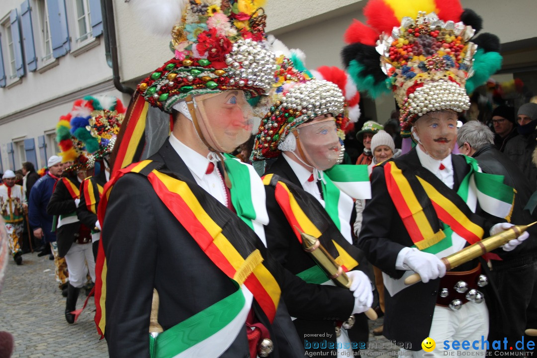 VSAN-Landschaftstreffen: Bad-Waldsee, 28.01.2018