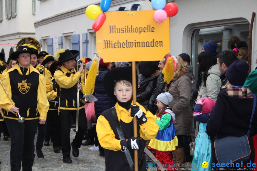 VSAN-Landschaftstreffen: Bad-Waldsee, 28.01.2018