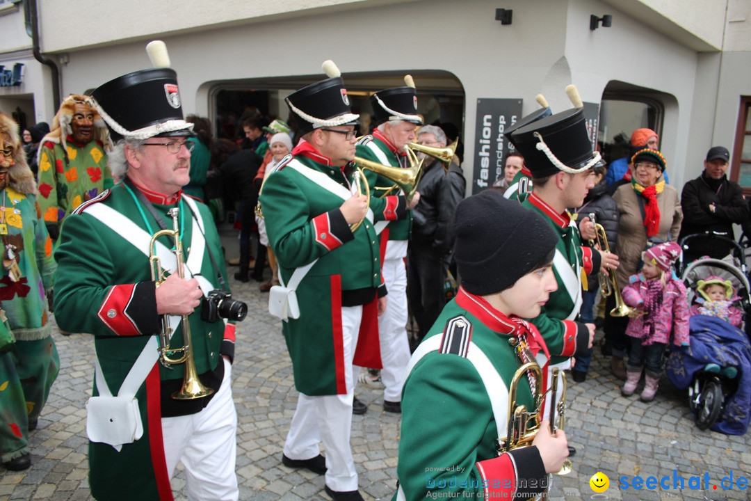 VSAN-Landschaftstreffen: Bad-Waldsee, 28.01.2018