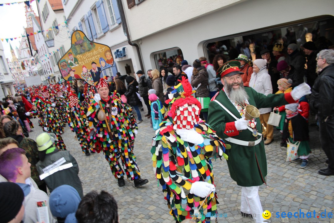 VSAN-Landschaftstreffen: Bad-Waldsee, 28.01.2018