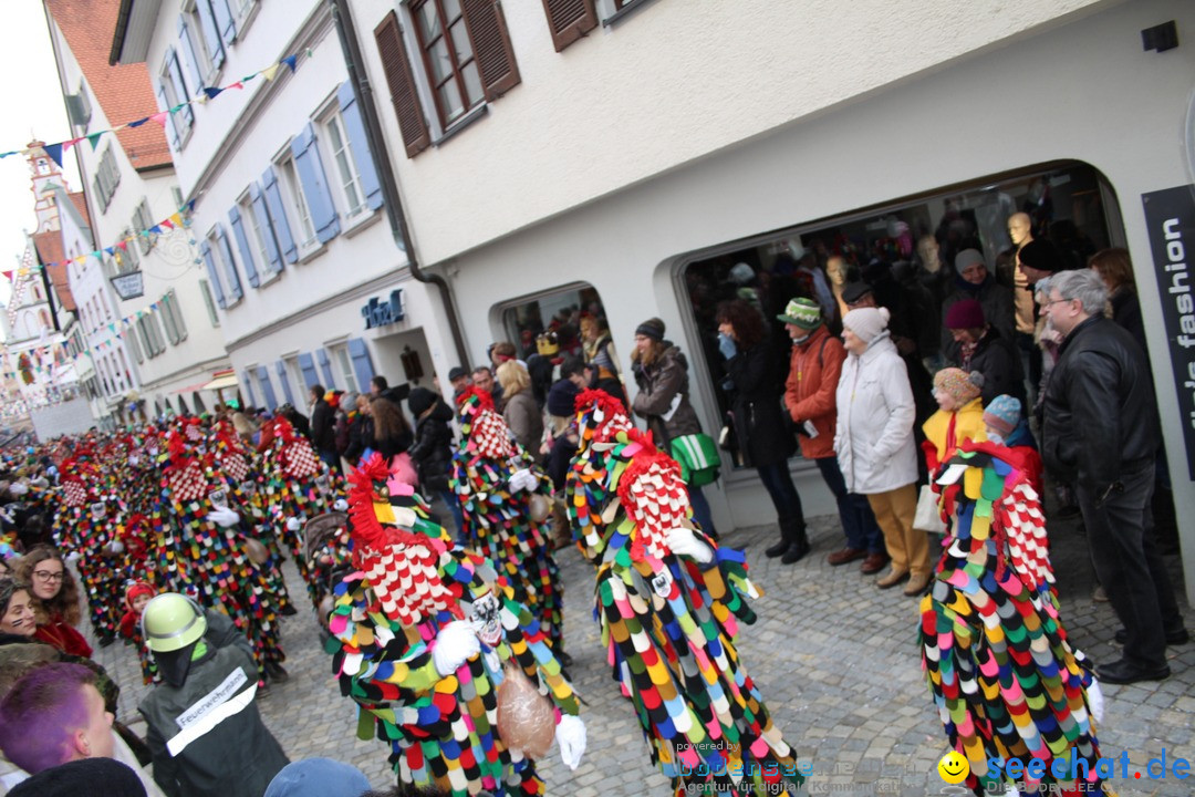 VSAN-Landschaftstreffen: Bad-Waldsee, 28.01.2018