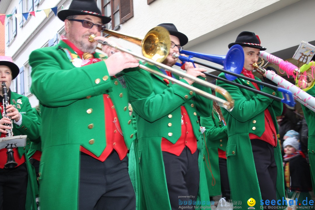 VSAN-Landschaftstreffen: Bad-Waldsee, 28.01.2018