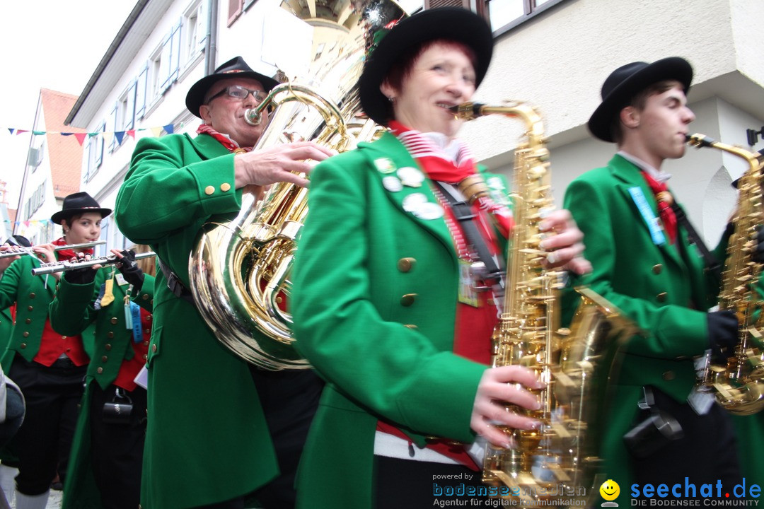 VSAN-Landschaftstreffen: Bad-Waldsee, 28.01.2018