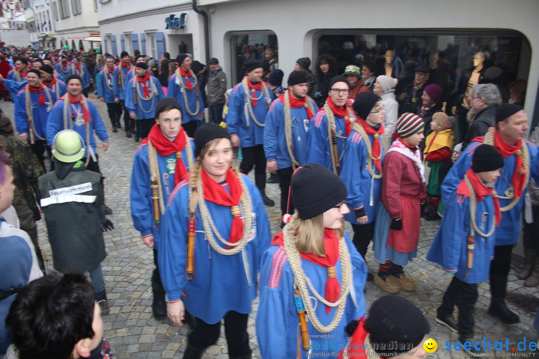 VSAN-Landschaftstreffen: Bad-Waldsee, 28.01.2018