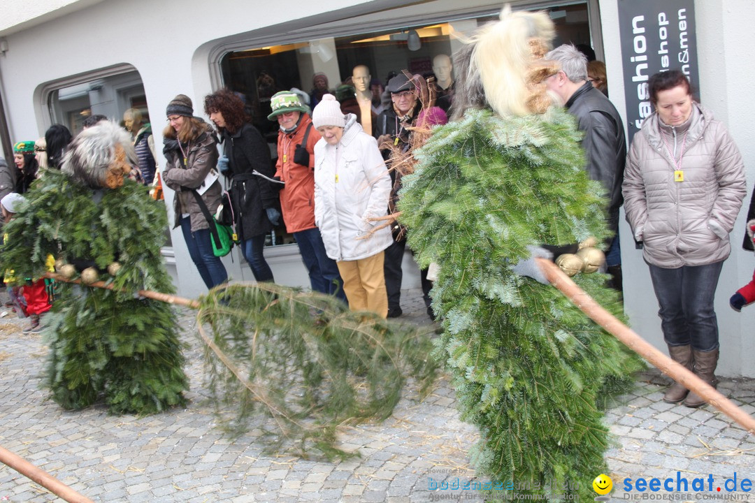 VSAN-Landschaftstreffen: Bad-Waldsee, 28.01.2018