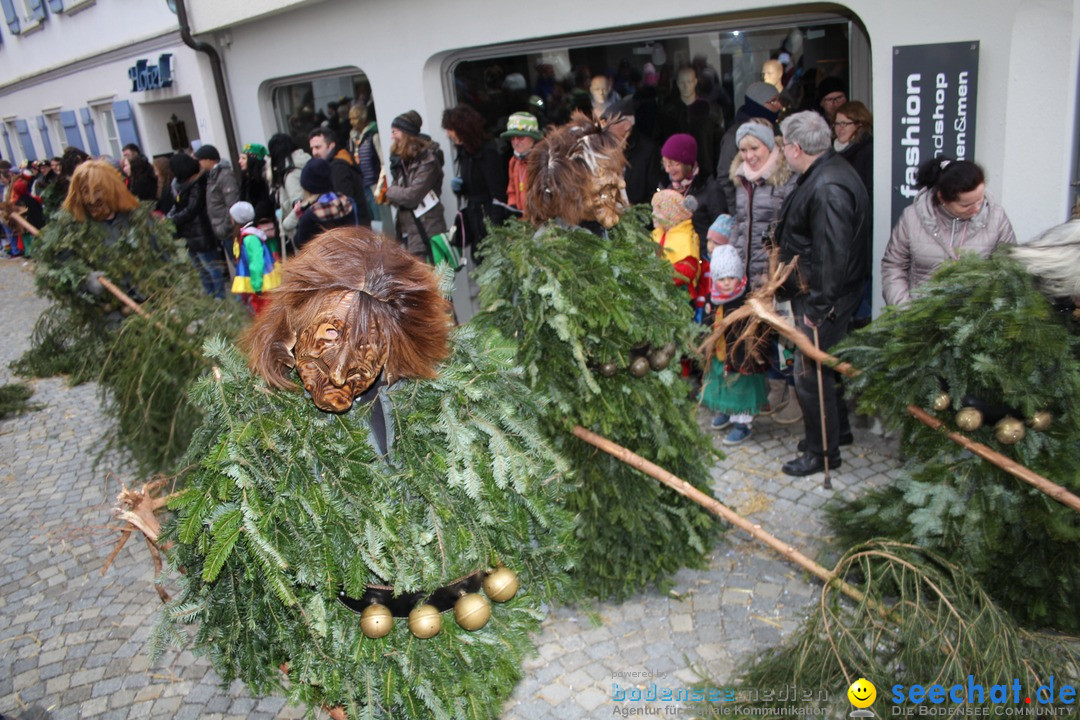 VSAN-Landschaftstreffen: Bad-Waldsee, 28.01.2018