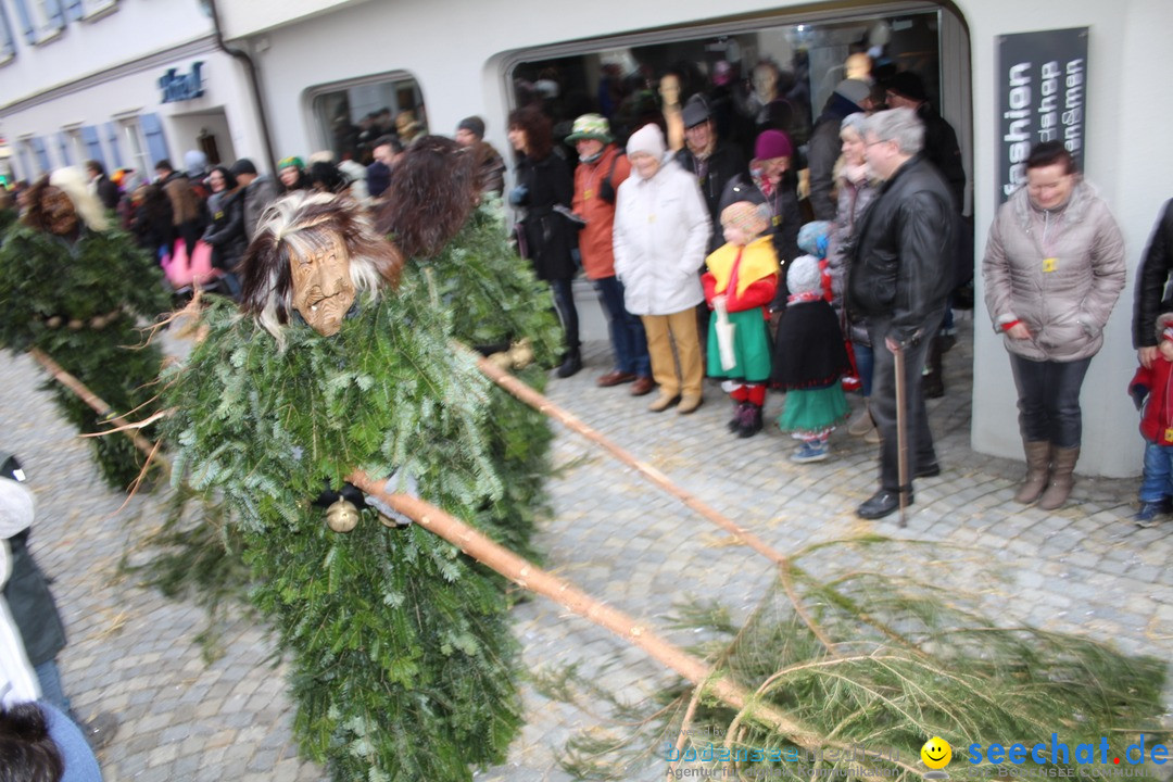 VSAN-Landschaftstreffen: Bad-Waldsee, 28.01.2018