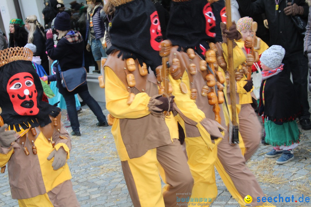 VSAN-Landschaftstreffen: Bad-Waldsee, 28.01.2018