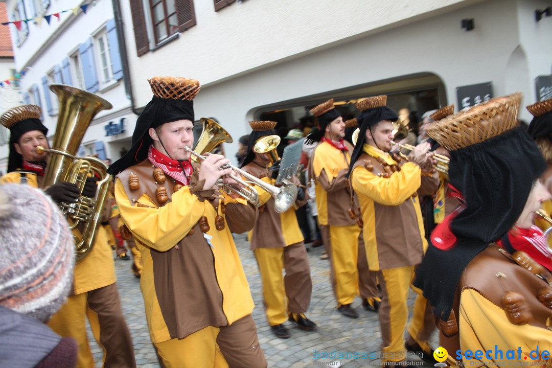 VSAN-Landschaftstreffen: Bad-Waldsee, 28.01.2018