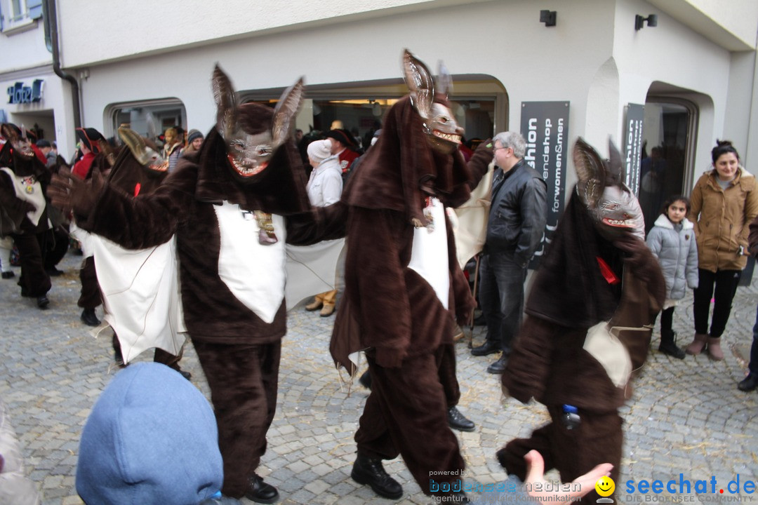 VSAN-Landschaftstreffen: Bad-Waldsee, 28.01.2018