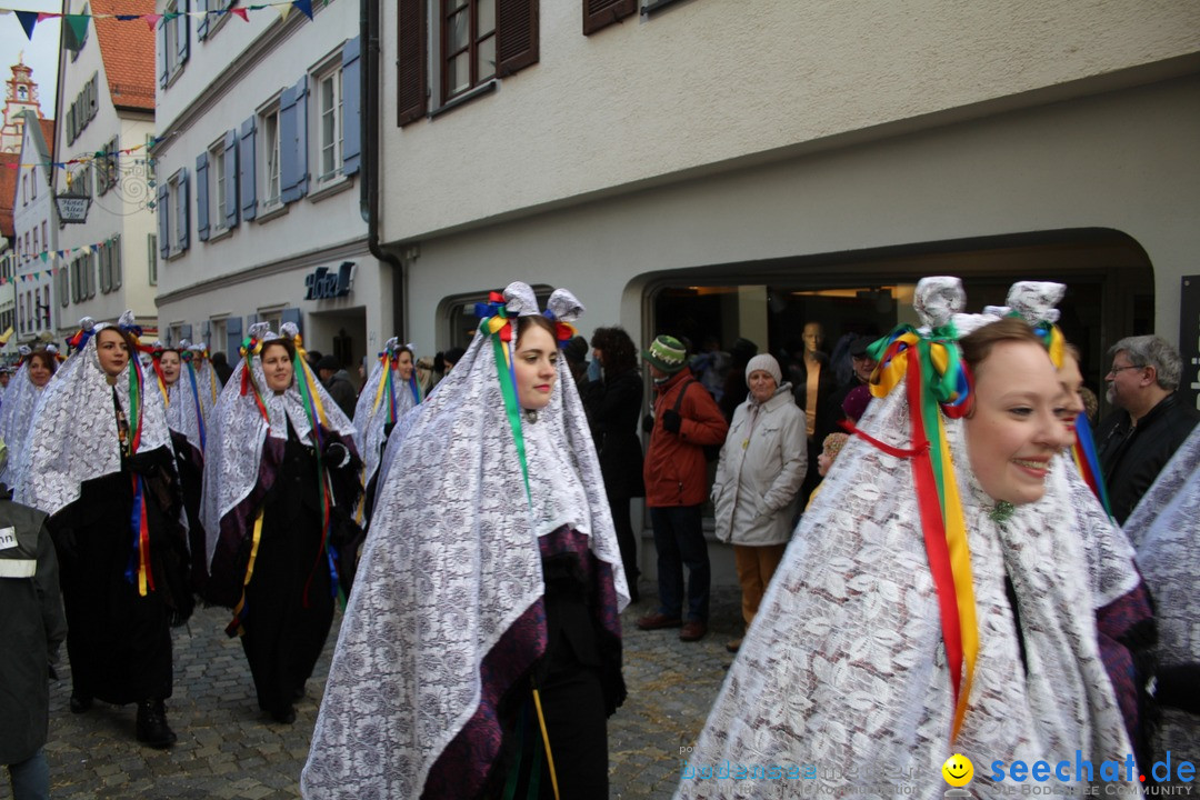 VSAN-Landschaftstreffen: Bad-Waldsee, 28.01.2018