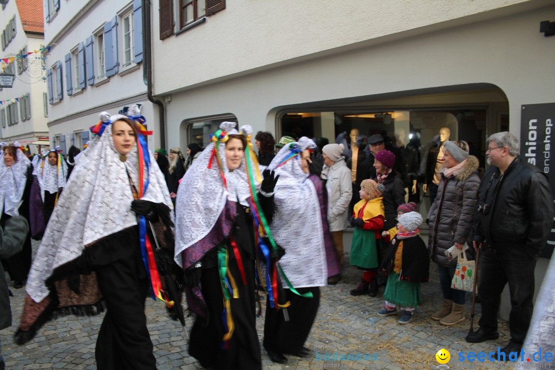 VSAN-Landschaftstreffen: Bad-Waldsee, 28.01.2018