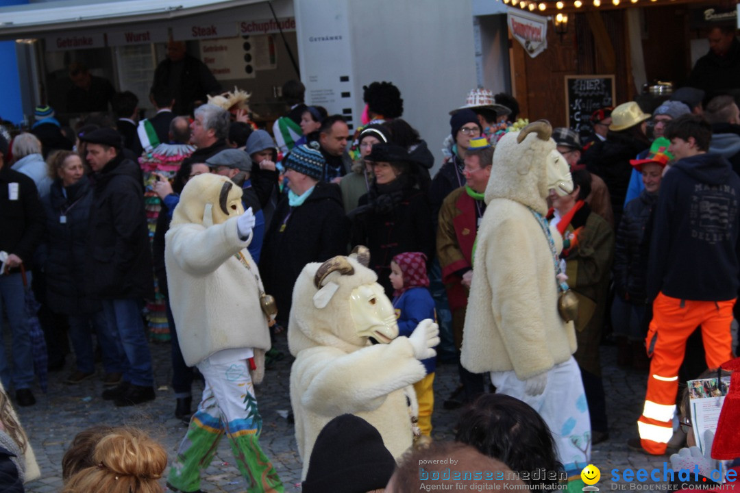 VSAN-Landschaftstreffen: Bad-Waldsee, 28.01.2018