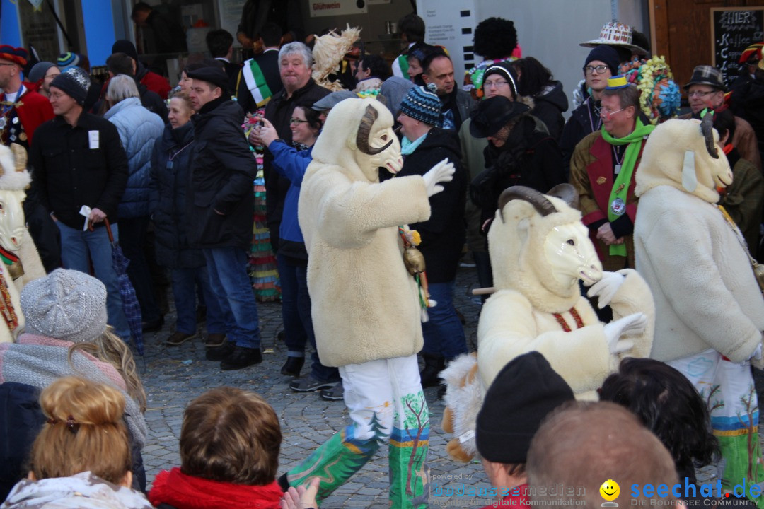 VSAN-Landschaftstreffen: Bad-Waldsee, 28.01.2018