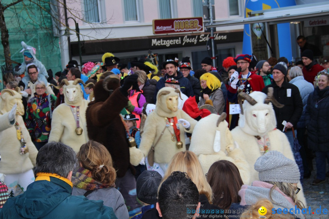 VSAN-Landschaftstreffen: Bad-Waldsee, 28.01.2018