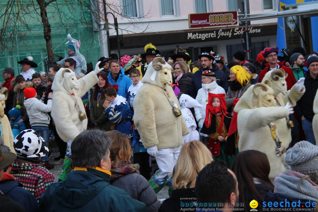 VSAN-Landschaftstreffen: Bad-Waldsee, 28.01.2018