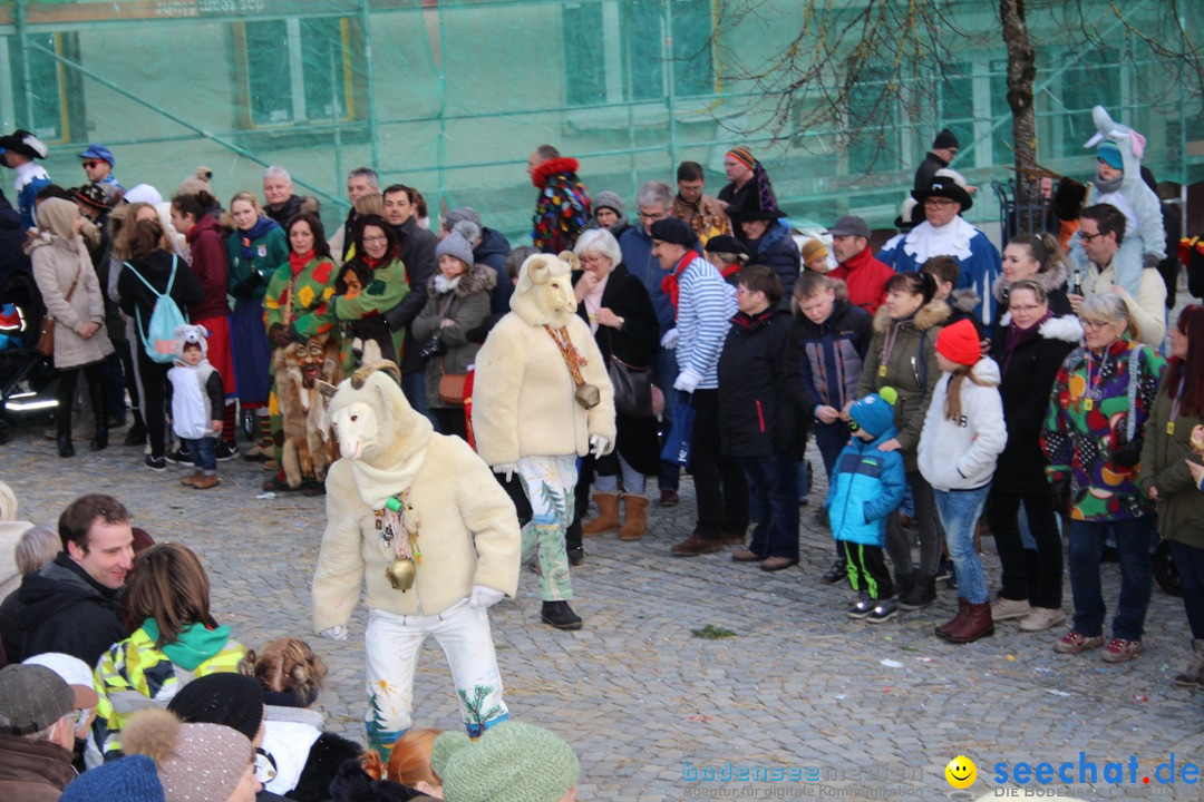 VSAN-Landschaftstreffen: Bad-Waldsee, 28.01.2018