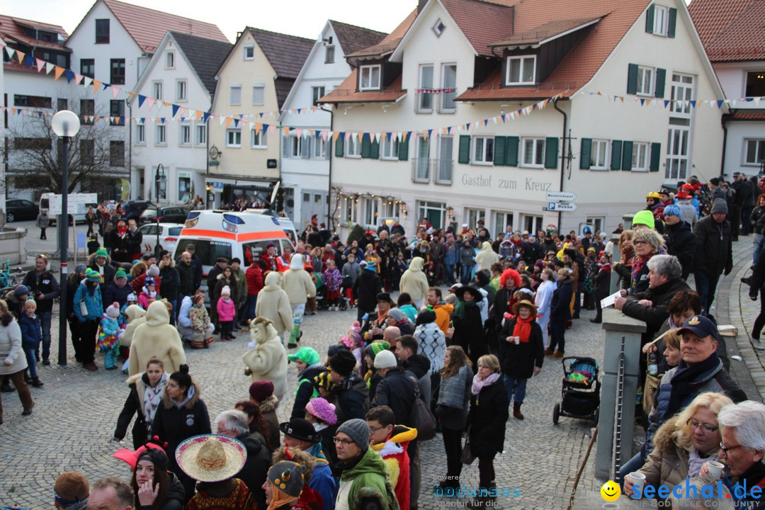 VSAN-Landschaftstreffen: Bad-Waldsee, 28.01.2018