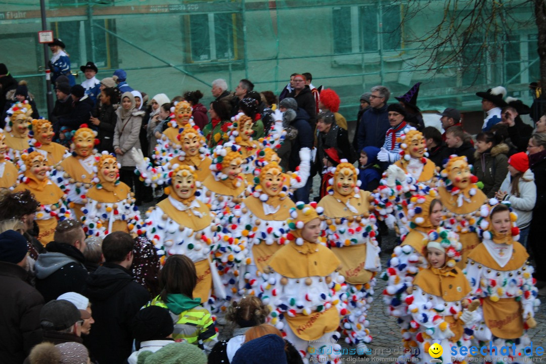 VSAN-Landschaftstreffen: Bad-Waldsee, 28.01.2018