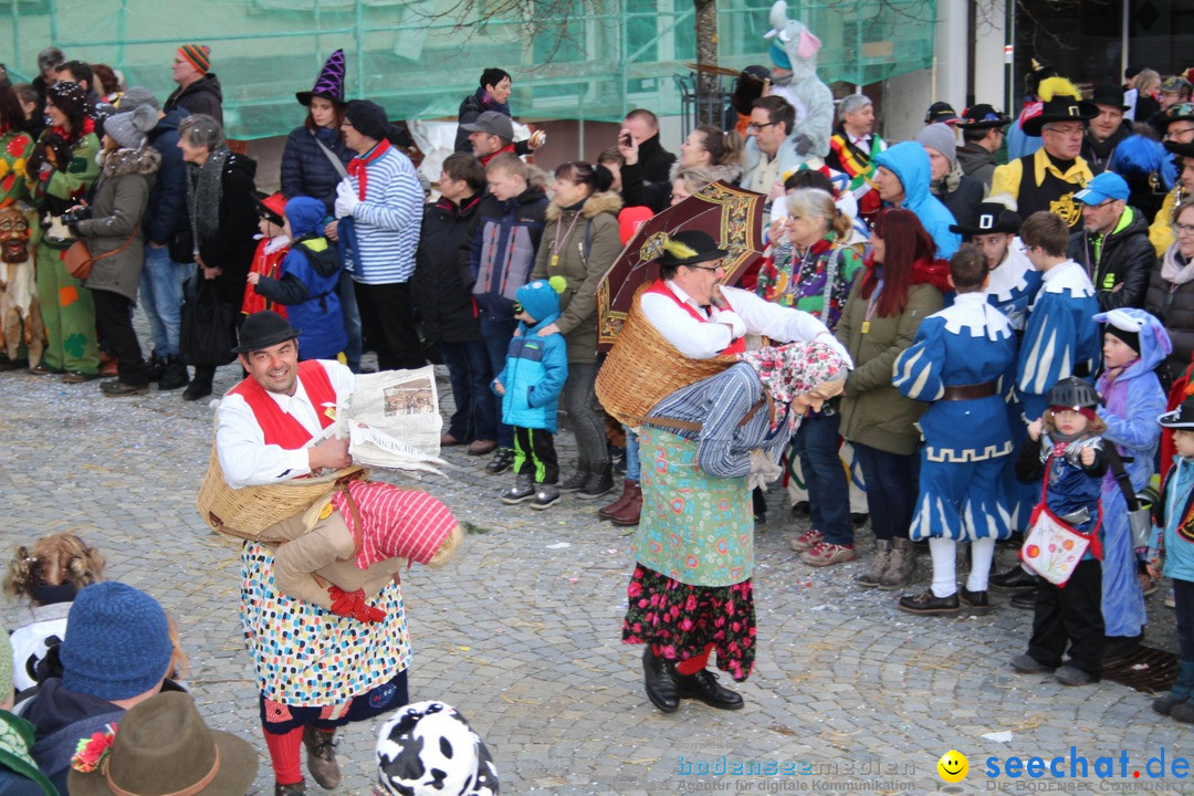 VSAN-Landschaftstreffen: Bad-Waldsee, 28.01.2018