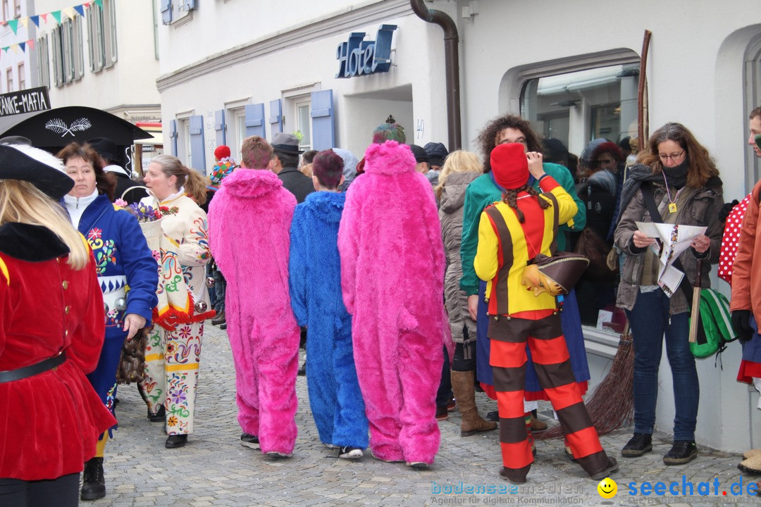 VSAN-Landschaftstreffen: Bad-Waldsee, 28.01.2018