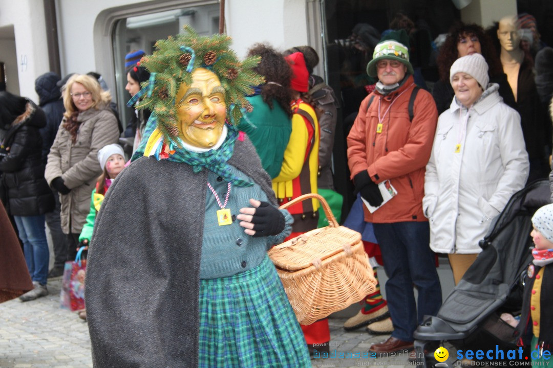 VSAN-Landschaftstreffen: Bad-Waldsee, 28.01.2018