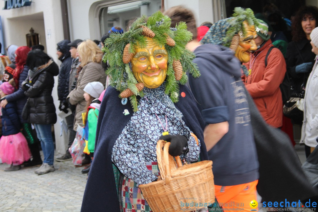 VSAN-Landschaftstreffen: Bad-Waldsee, 28.01.2018