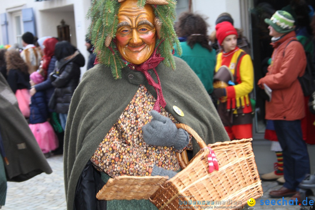 VSAN-Landschaftstreffen: Bad-Waldsee, 28.01.2018