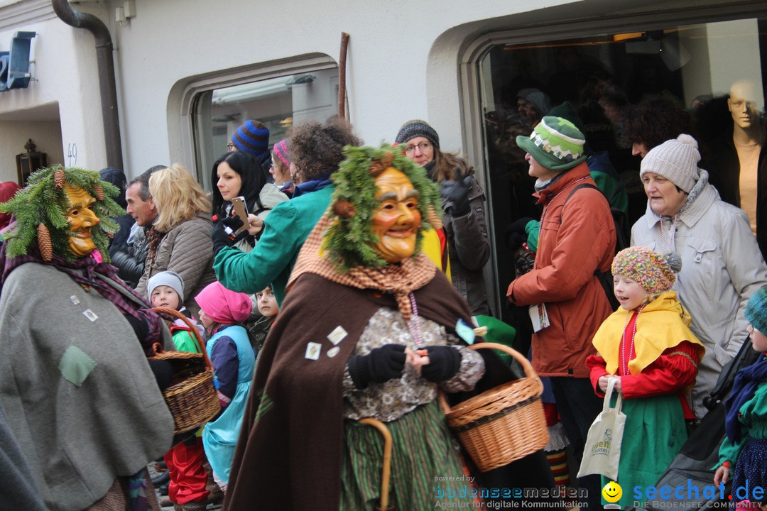 VSAN-Landschaftstreffen: Bad-Waldsee, 28.01.2018