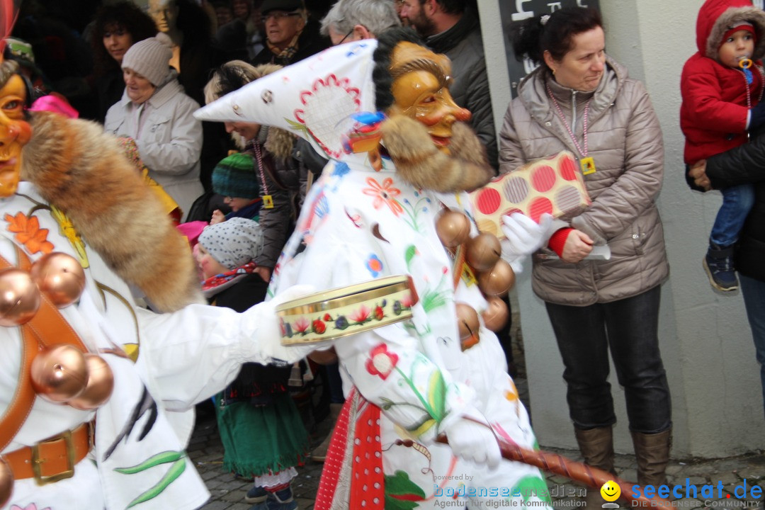 VSAN-Landschaftstreffen: Bad-Waldsee, 28.01.2018