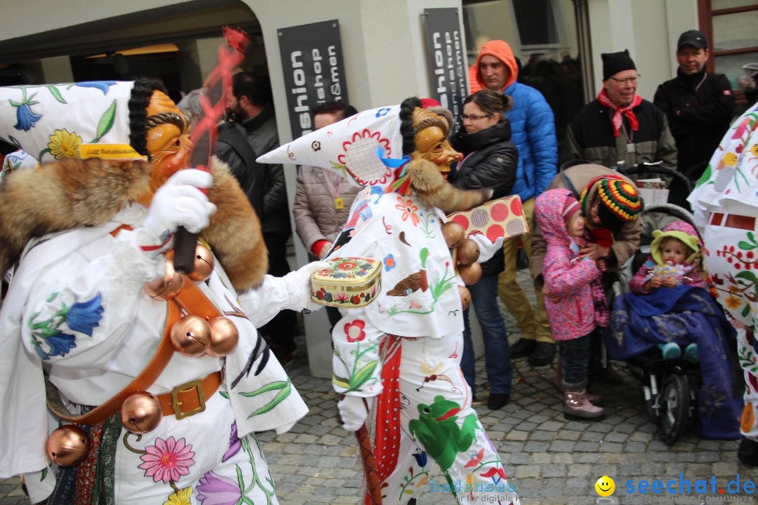 VSAN-Landschaftstreffen: Bad-Waldsee, 28.01.2018