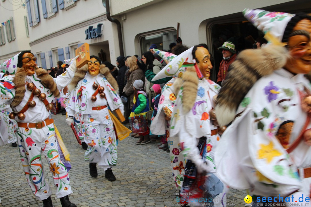 VSAN-Landschaftstreffen: Bad-Waldsee, 28.01.2018