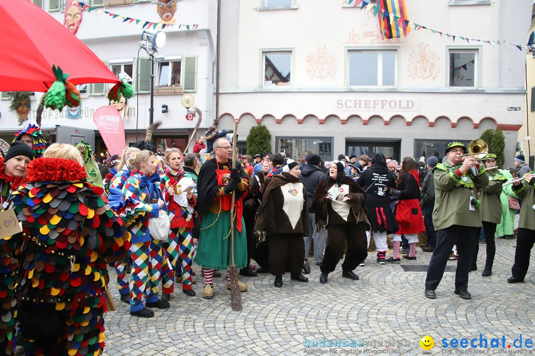 VSAN-Landschaftstreffen: Bad-Waldsee, 28.01.2018