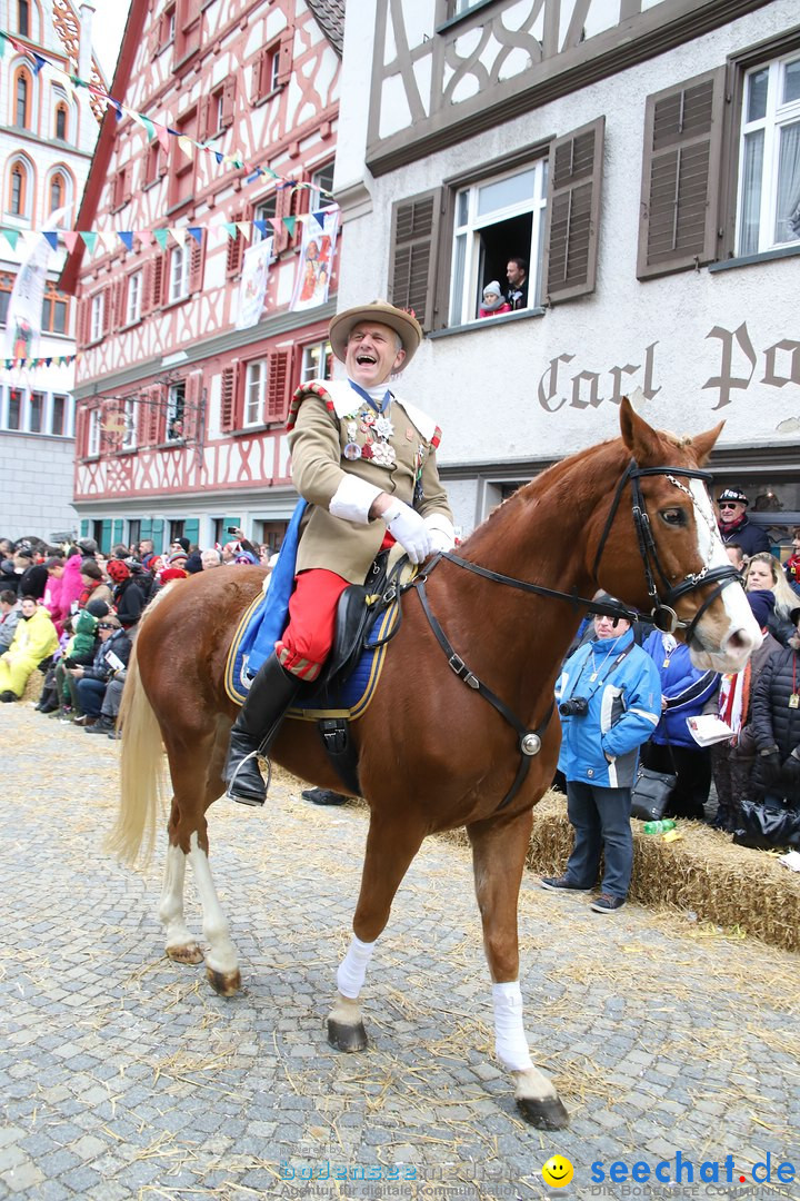 VSAN-Landschaftstreffen: Bad-Waldsee, 28.01.2018