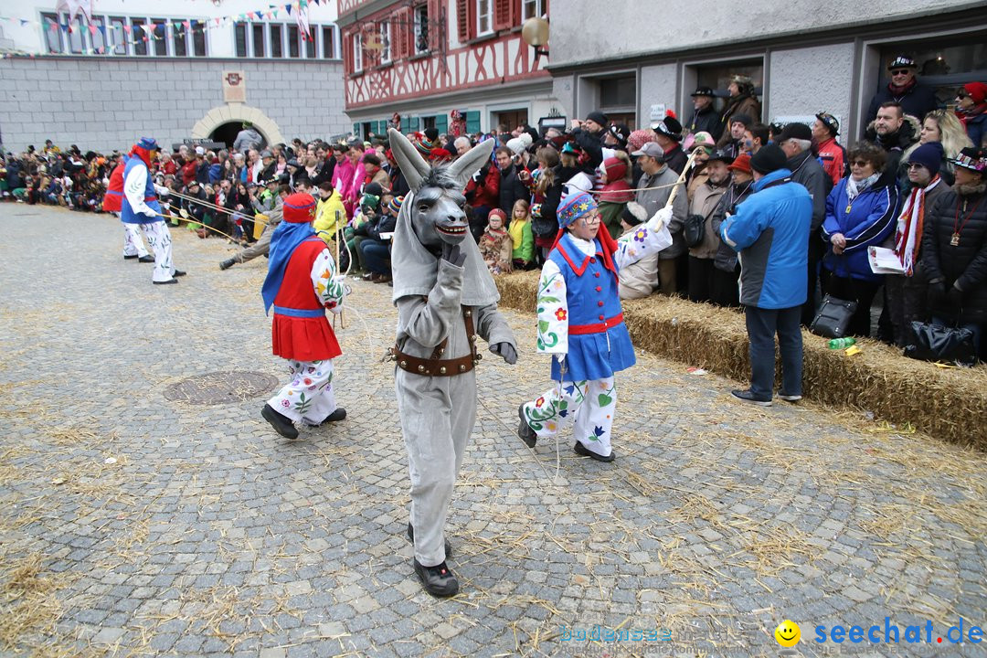 VSAN-Landschaftstreffen: Bad-Waldsee, 28.01.2018