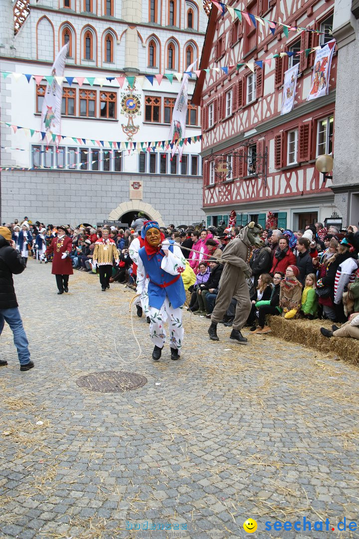 VSAN-Landschaftstreffen: Bad-Waldsee, 28.01.2018