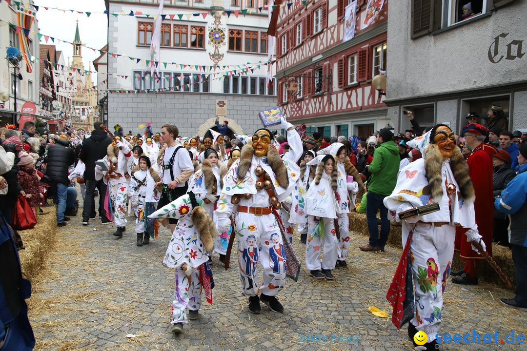 VSAN-Landschaftstreffen: Bad-Waldsee, 28.01.2018