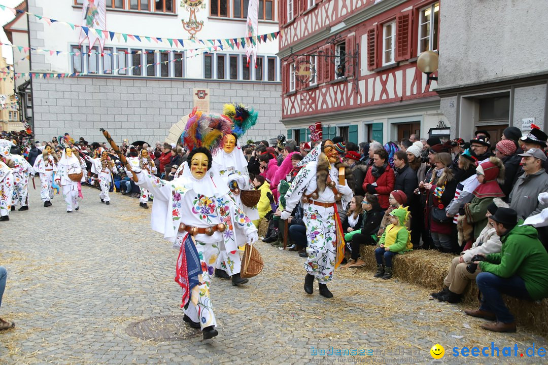 VSAN-Landschaftstreffen: Bad-Waldsee, 28.01.2018